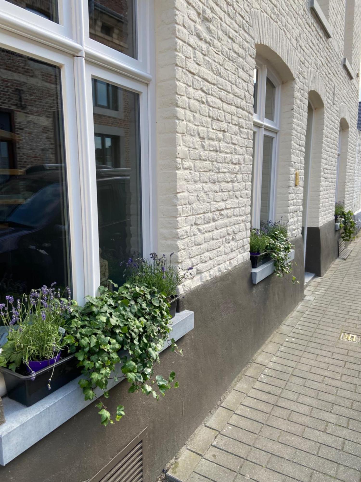 Begijnhofstudio'S Tongeren Eksteriør bilde